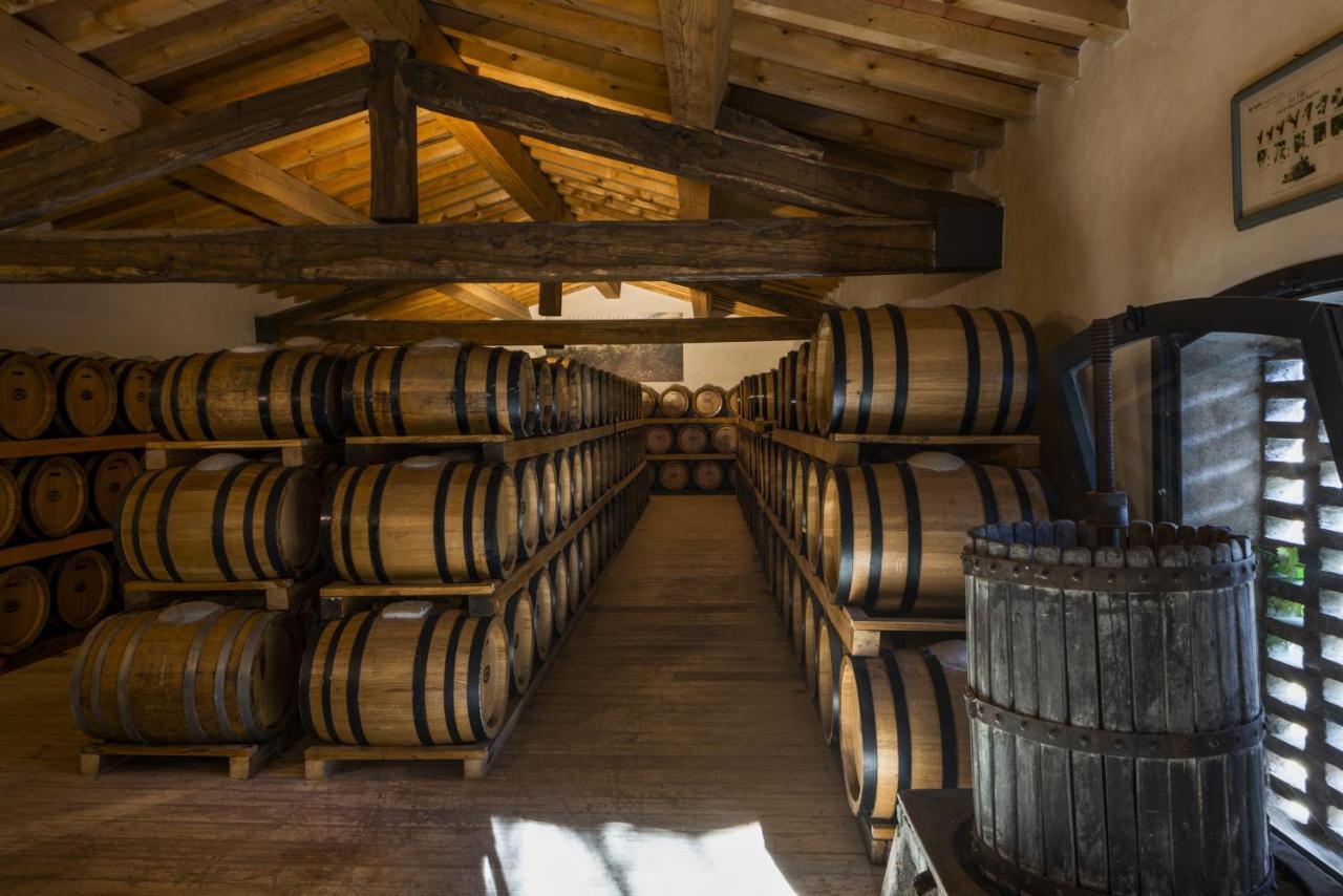 Hotel Torre a Cona Wine Estate San Donato in Collina Exterior foto